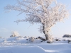 sejour famille neige et raquette2